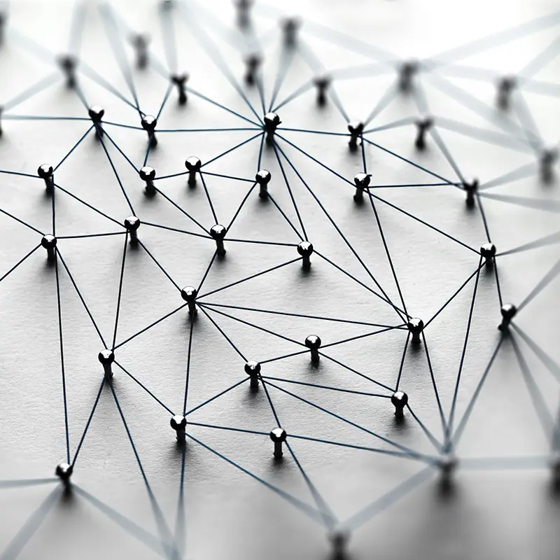 Supplier network